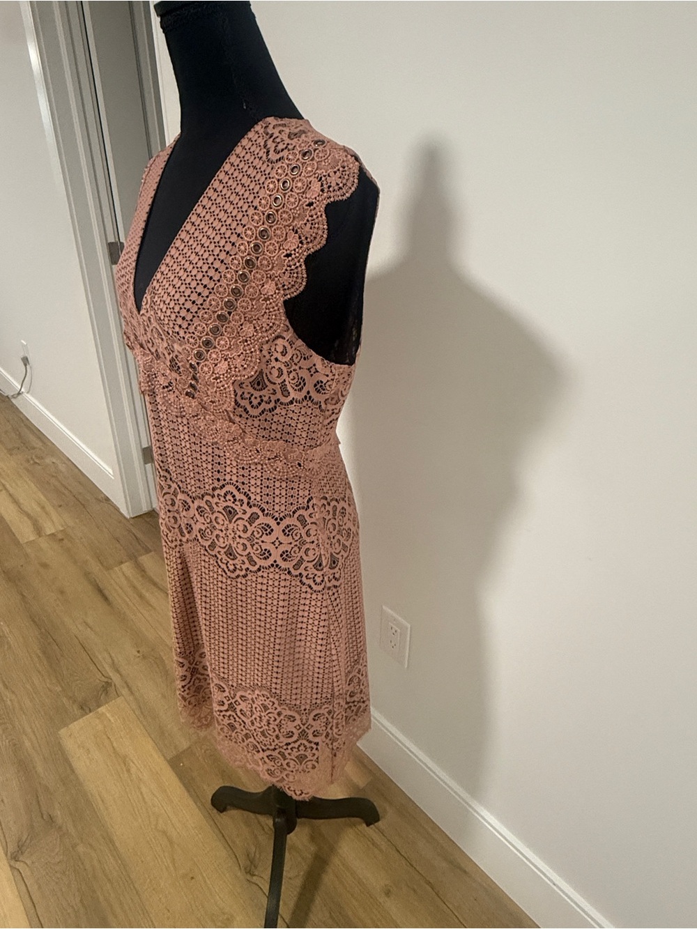 Pinko Fall 2019Collection Lace Mini Dress Dusty Blush Pink Mauve Medium Designer - Picture 3 of 8